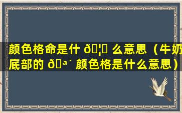 颜色格命是什 🦋 么意思（牛奶底部的 🪴 颜色格是什么意思）